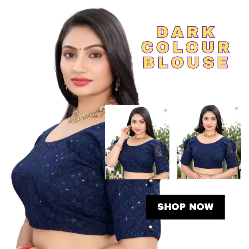 Dark Colour Blouse