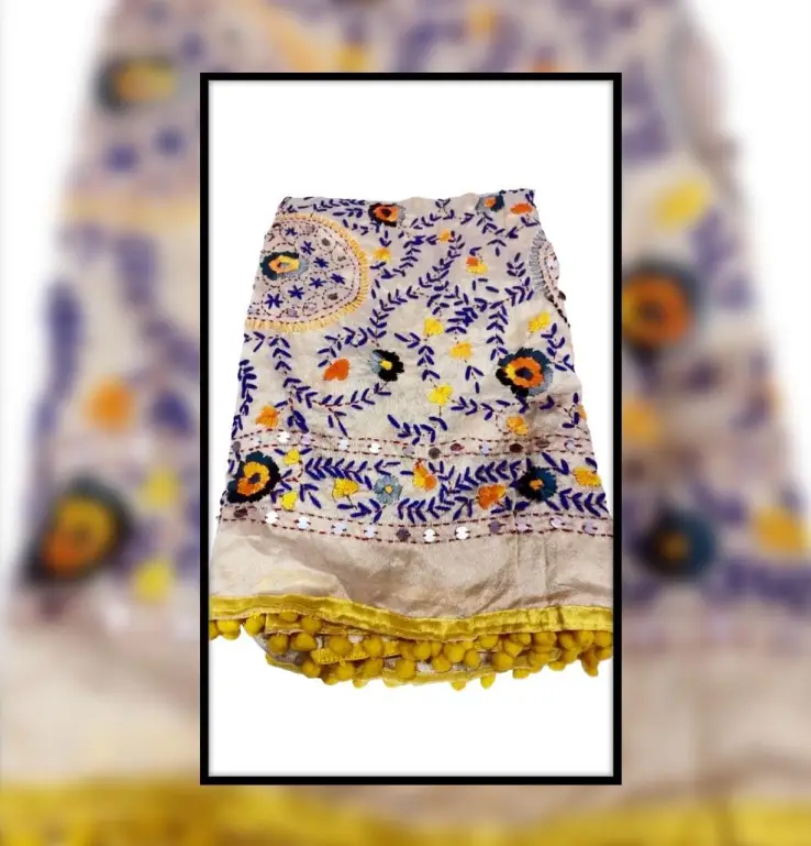 Phulkari Embroidery Saree